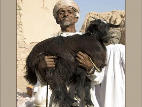صور من ابداع اعضاء عمان فوتو