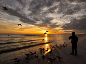 صور منوعة من الإنترنت