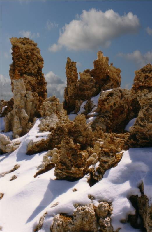 صور منوعة من الإنترنت