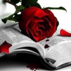 Gothic Rose