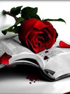 Gothic Rose