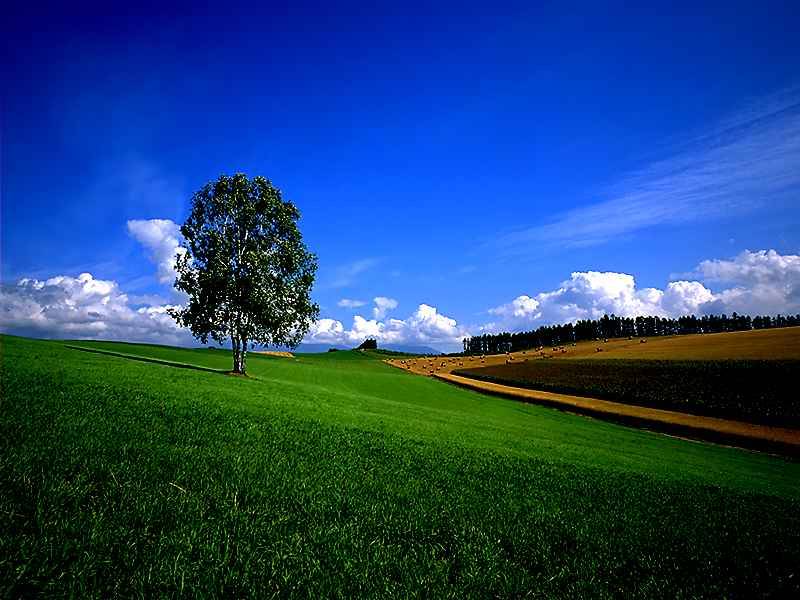 Picture63