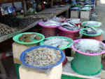 thai-market-q5g8_small