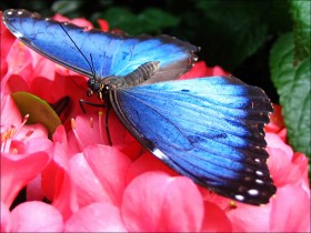 1497077-90d49831b088b216