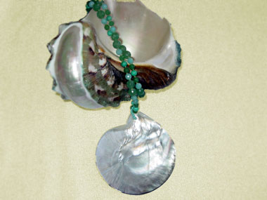 seashells_02_1_
