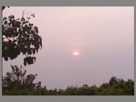 صور من ابداع اعضاء عمان فوتو