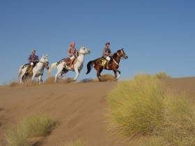 صور من ابداع اعضاء عمان فوتو