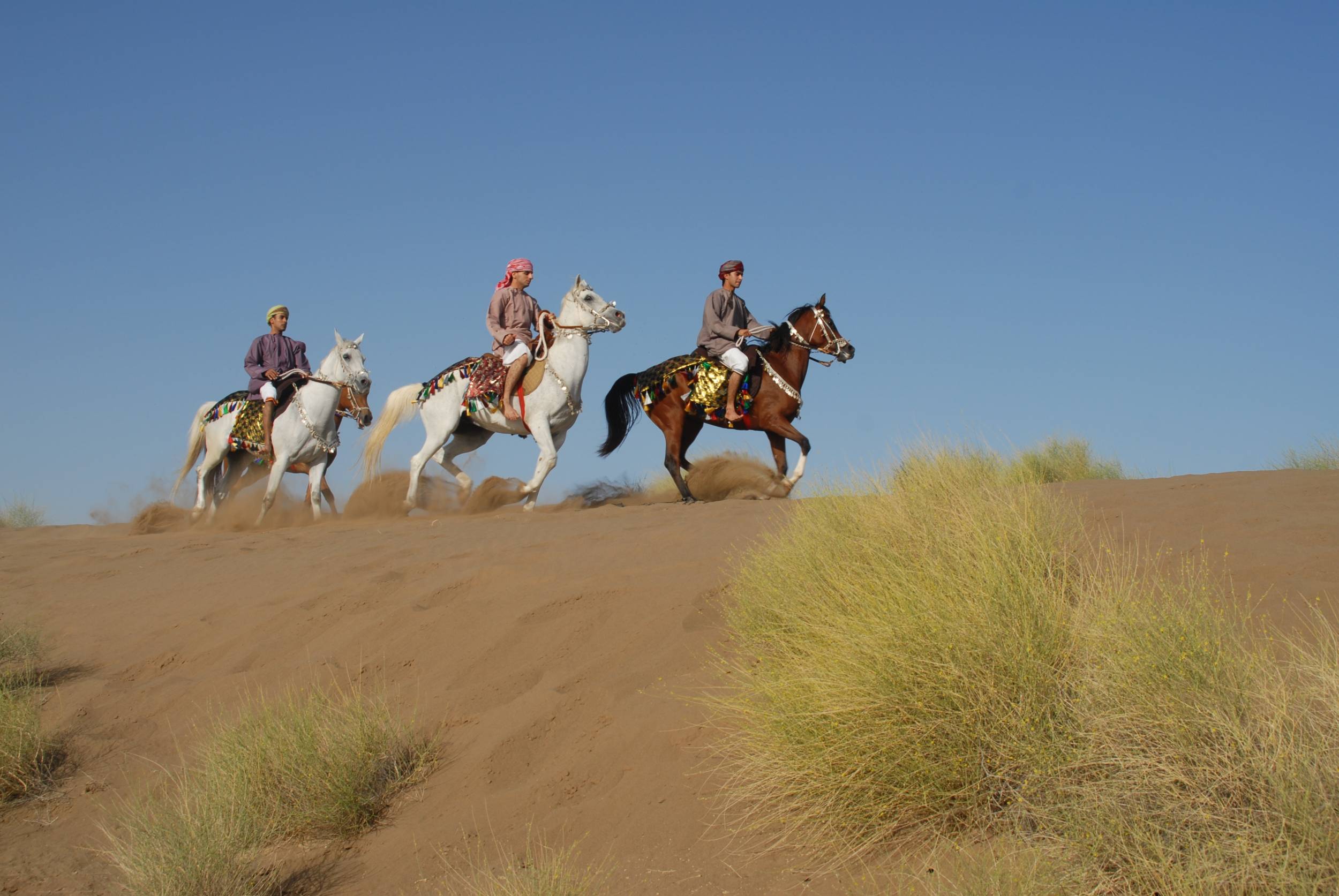 صور من ابداع اعضاء عمان فوتو
