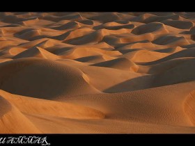 صور من ابداع اعضاء عمان فوتو