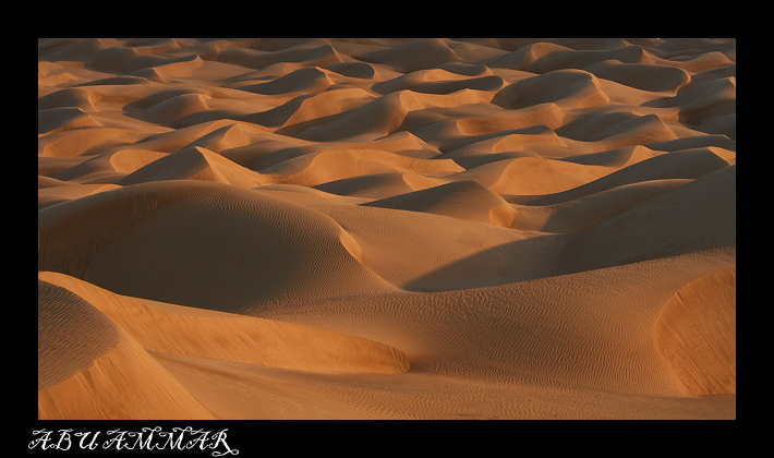 صور من ابداع اعضاء عمان فوتو