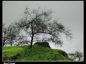 صور من ابداع اعضاء عمان فوتو