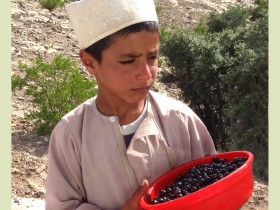 صور من ابداع اعضاء عمان فوتو