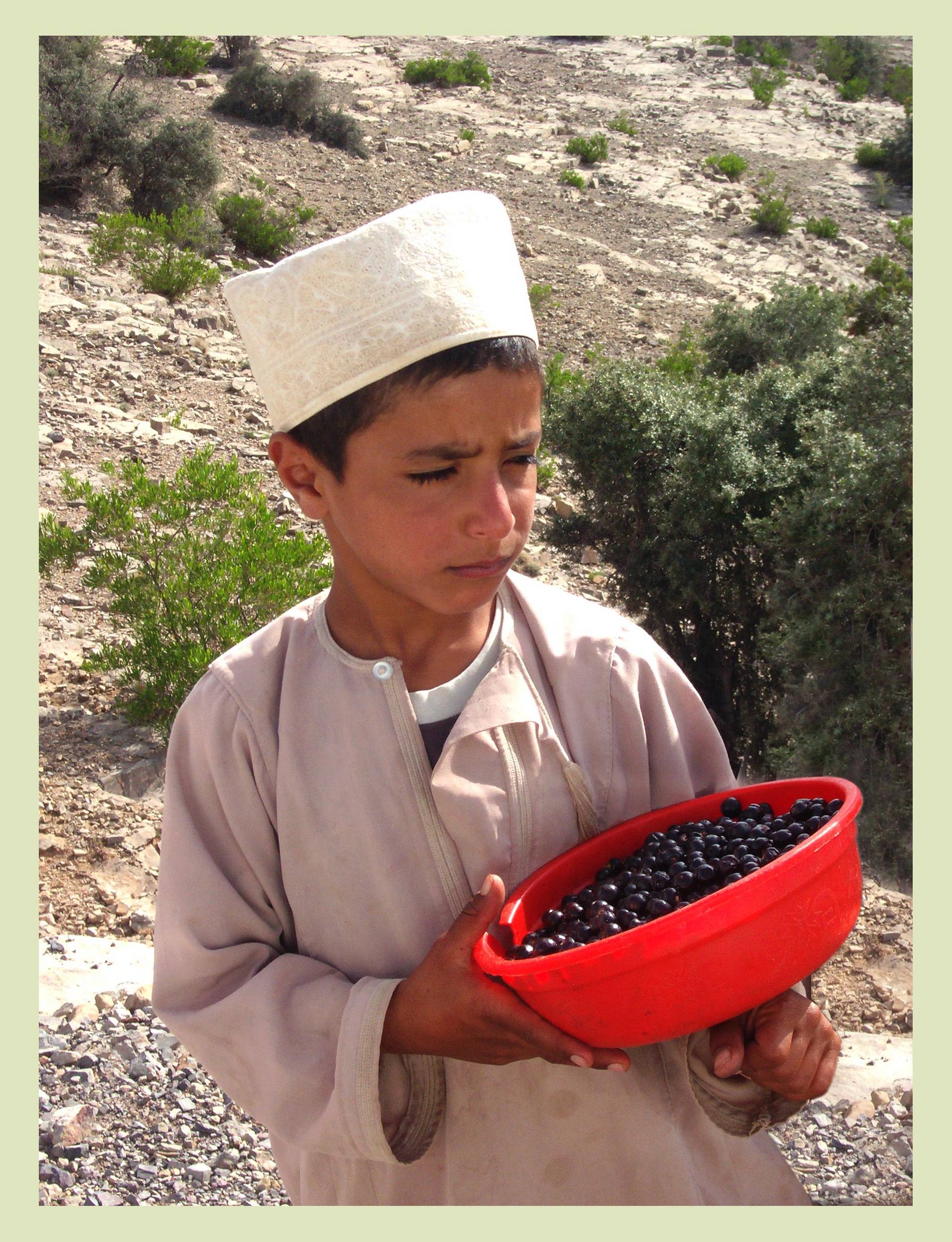 صور من ابداع اعضاء عمان فوتو