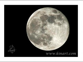 صور من ابداع اعضاء عمان فوتو