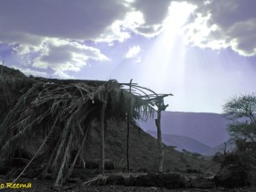 صور من ابداع اعضاء عمان فوتو