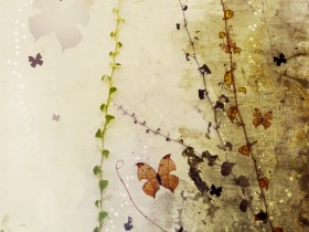 butterfly_by_volond