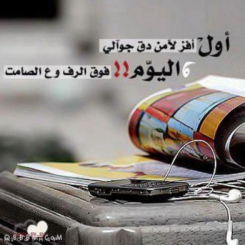 197742_293600934069528_1215e439837_n