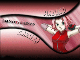 Sakura 11