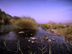 صور من ابداع اعضاء عمان فوتو