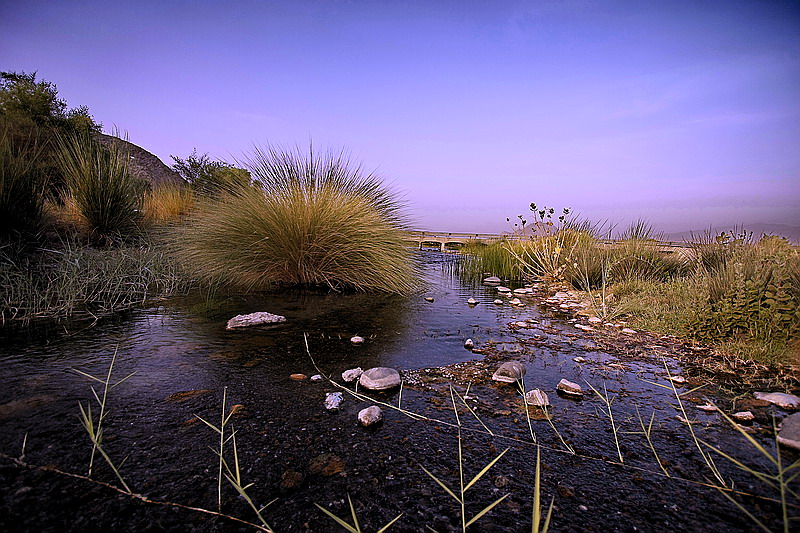 صور من ابداع اعضاء عمان فوتو