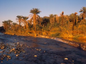 صور من ابداع اعضاء عمان فوتو