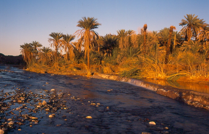 صور من ابداع اعضاء عمان فوتو