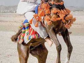 صور من ابداع اعضاء عمان فوتو
