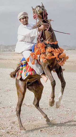 صور من ابداع اعضاء عمان فوتو