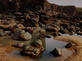 صور منوعة من الإنترنت