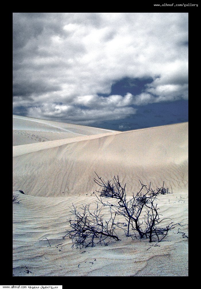 nice_pic_design_photo_11_1_
