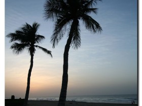 صور من ابداع اعضاء عمان فوتو