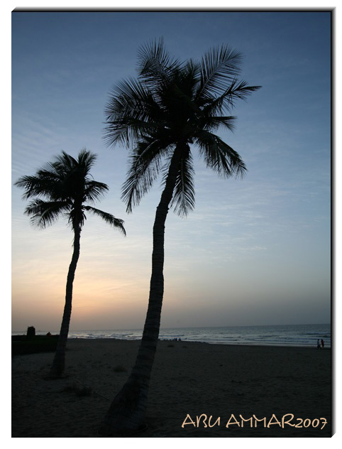 صور من ابداع اعضاء عمان فوتو