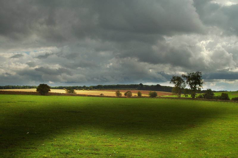 1209379030_21_04_2008_08007090012087_1_