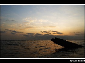 صور من ابداع اعضاء عمان فوتو