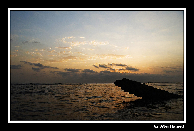 صور من ابداع اعضاء عمان فوتو