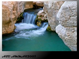 صور من ابداع اعضاء عمان فوتو