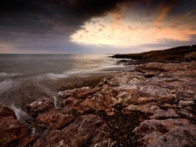 صور منوعة من الإنترنت