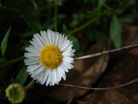 صور منوعة من الإنترنت