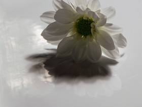 صور منوعة من الإنترنت