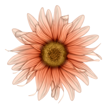 BVS_mypeachlove_flower03
