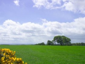 07 43 61   Green Fields web