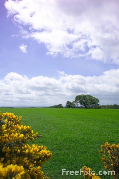 07 43 61   Green Fields web