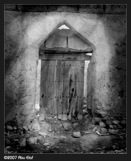 صور من ابداع اعضاء عمان فوتو
