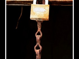 صور من ابداع اعضاء عمان فوتو