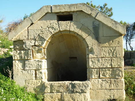 صور منوعة من الإنترنت