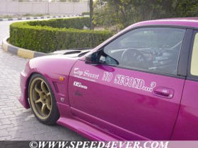 pink-16