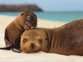 image0261
