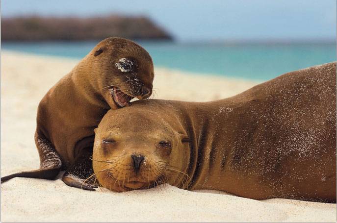 image0261
