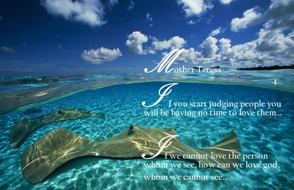 صور للتصميم