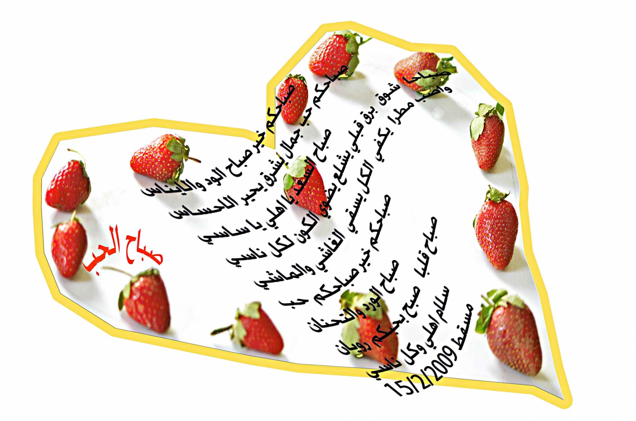صور من ابداع اعضاء عمان فوتو